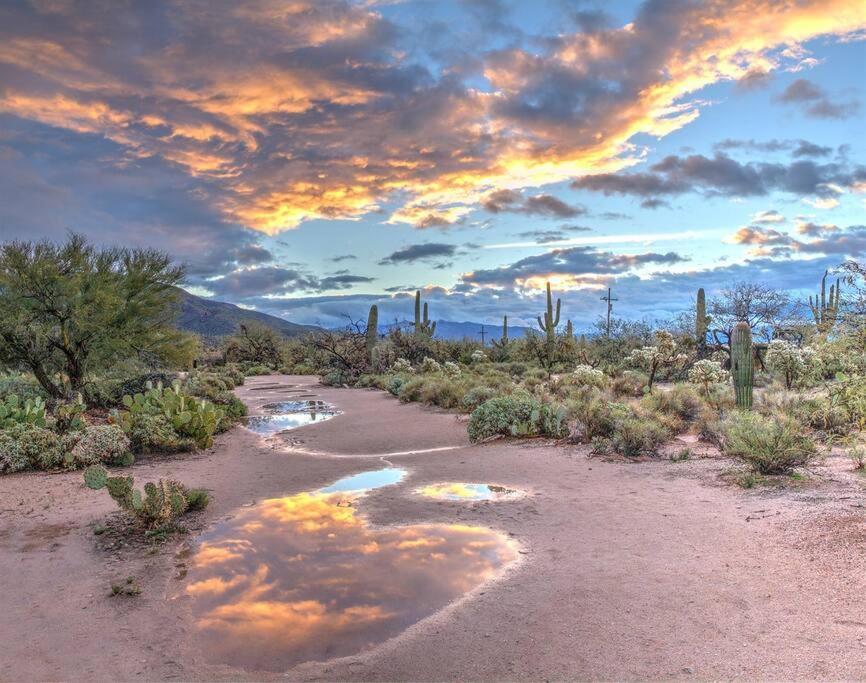Silver Spur Homestead Luxury Glamping - The Cowboy Tombstone Luaran gambar
